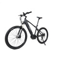 Lightweight mountain electric bicycle